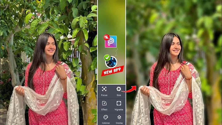 ক্রিকেট খেলার পিচের দৈর্ঘ্য কত ফুট