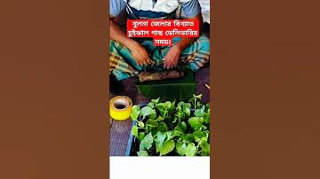 স্বাস্থ্য সুরক্ষা নবম শ্রেণি পৃষ্ঠা 16