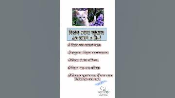 সহজ ইংরেজি কি