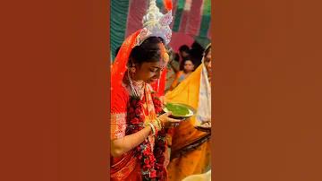 অমসিন লাইভ