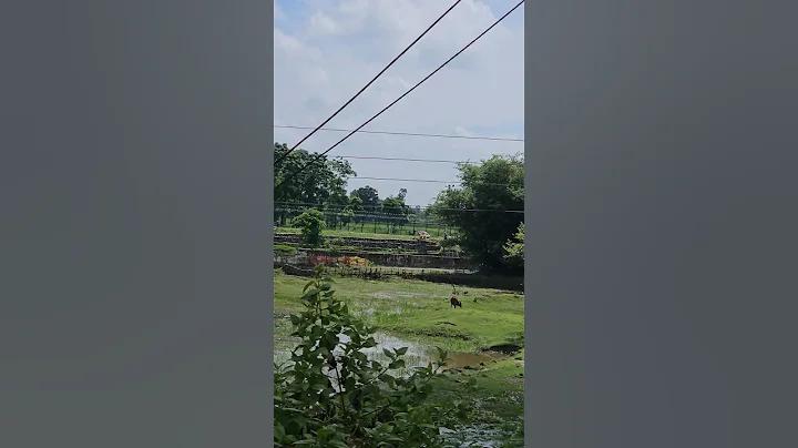 হ্যালো (২০১৭-এর চলচ্চিত্র)-এর চরিত্র