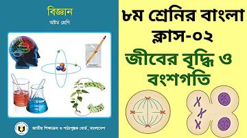হাতি লাখী ১/১২/৬৫