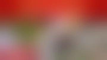ভারত নেদারল্যান্ডস ক্রিকেট ম্যাচ
