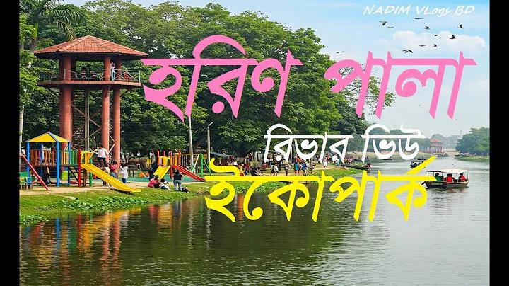 br job circular 2023