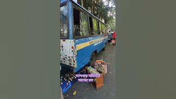 ক্রিকেটে ক্রিজ গার্ড কি