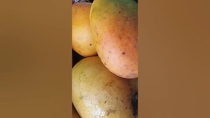 গরম লাগে কেন