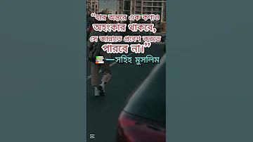 পদ্মা সেতু উদ্বোধনের লাইভ
