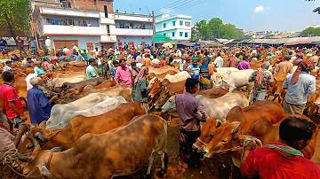গত সময়ে লোটারি ফলাফল