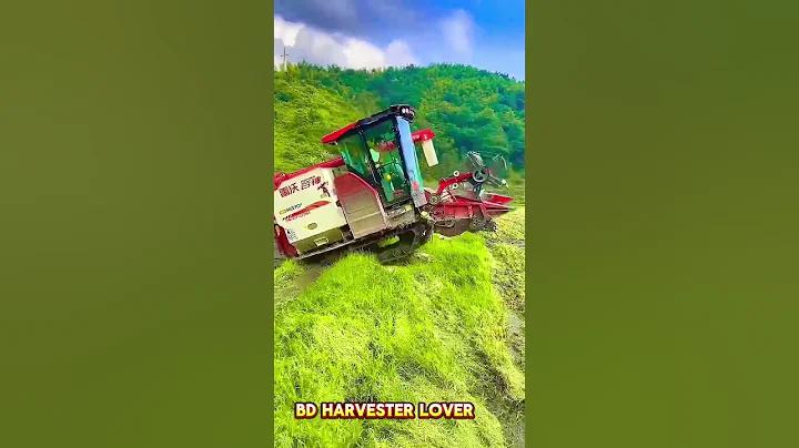 শিলিগুড়ি দর্শনীয় স্থান