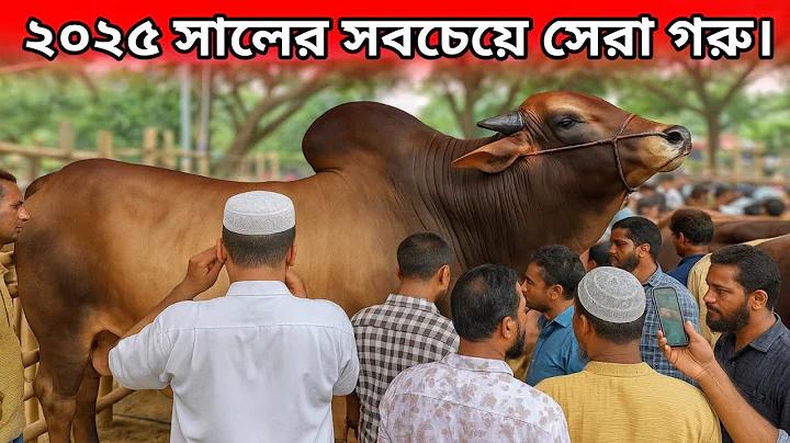 বিশ্ব উষ্ণায়ন প্রবন্ধ রচনা class 8