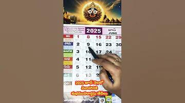 হ্যামস্টার কম্ব্যাট অ্যাপ