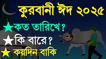 ইয়াস লাইভ