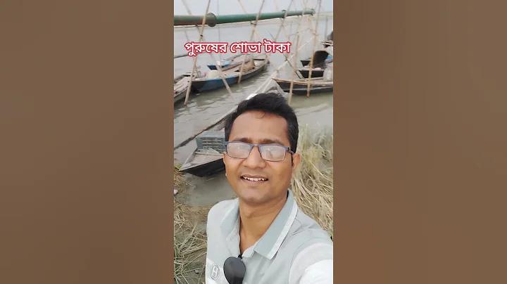 লাইভ বাজি