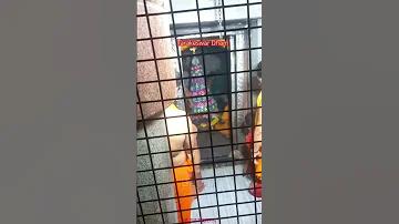 ঘটনা শুনে