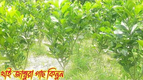 ভয়ঙ্কর ঘটনা