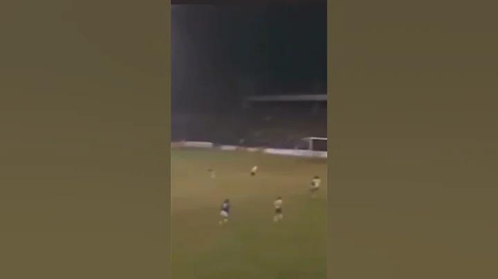 জঙ্গল গেম