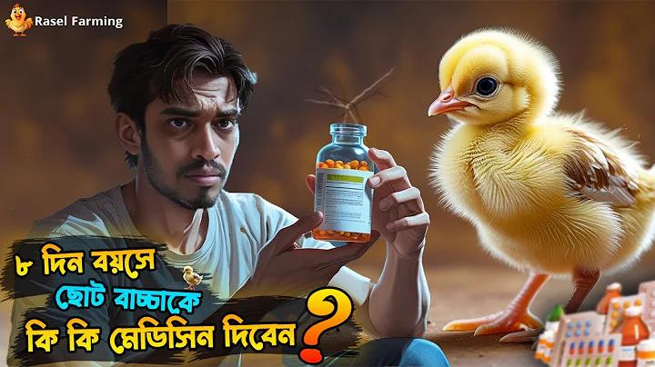 খেলা চলাকালীন