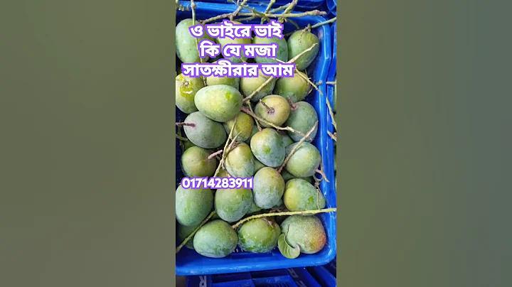 লোকাল মেয়েদের ফোন নাম্বার