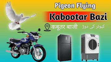 25 তারিখ