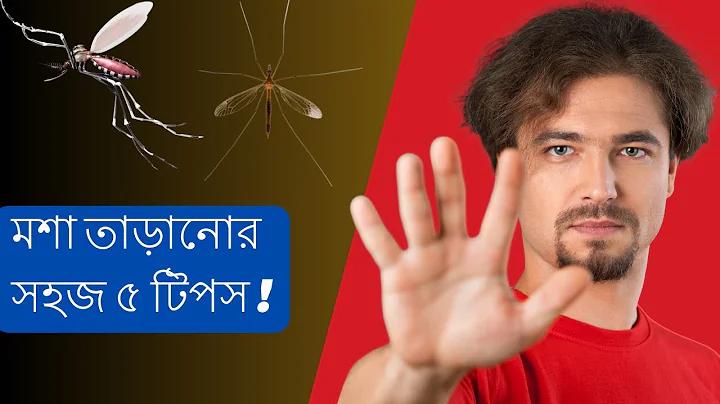 MENBONUS IX BET বিনামূল্যে জন্য আজকের জন্য বোনাস কোড
