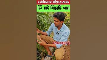 শাড়ীতে নারীর সৌন্দর্য