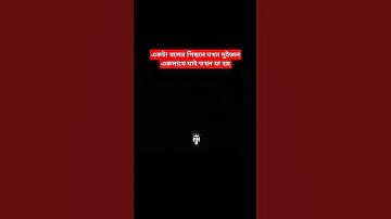 বোনাসের টাকা থেকে বন্যার্তদের সাহায্য করবে ক্রিকেটাররা- NewsCricket24