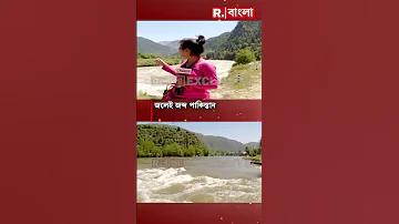 ক্রিকেট বলের নাম কি
