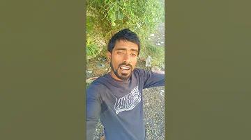 টাইলস-ম্যাচিং ভিডিও গেম