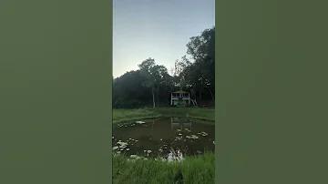 স্লট ফাইভ স্টার পাওয়ার হুইল