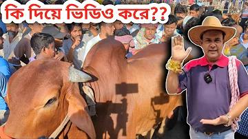 লটারি লাইভ নাগাল্যান্ড