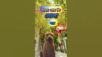 দিনের শক্তি অনুযায়ী সংখ্যা