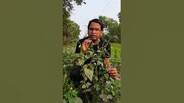 গাড়ি গেম ভিডিও সং