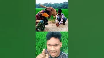 বিশ্ব থ্যালাসেমিয়া দিবস কবে পালন করা হয়