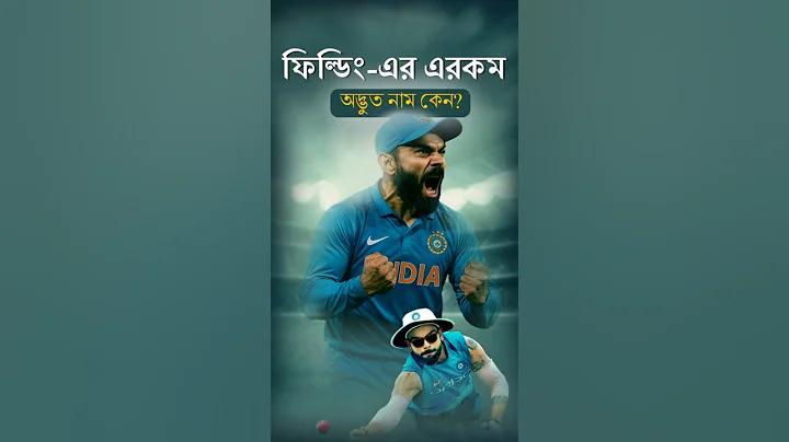 রামপাল বিদ্যুৎকেন্দ্র