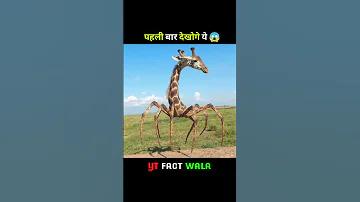 উচ্চ পেমেন্ট রেট আছে