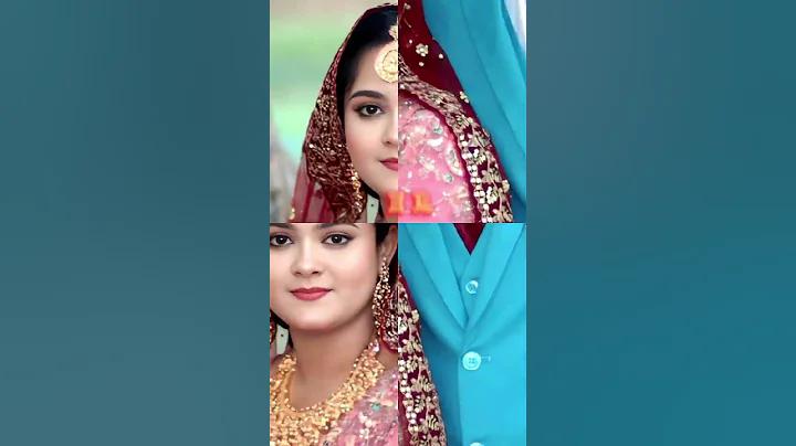 4 তারিখের ভোটের খবর