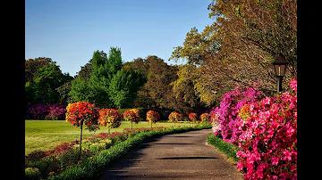 যাত্রা কোন রাজ্যের লোক উৎসব