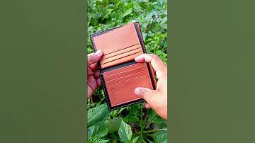 ছাত্র ও শিক্ষকের সম্পর্ক অনুচ্ছেদ
