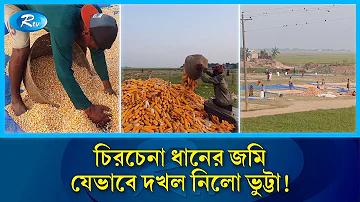 খবর লাইভ সরাসরি