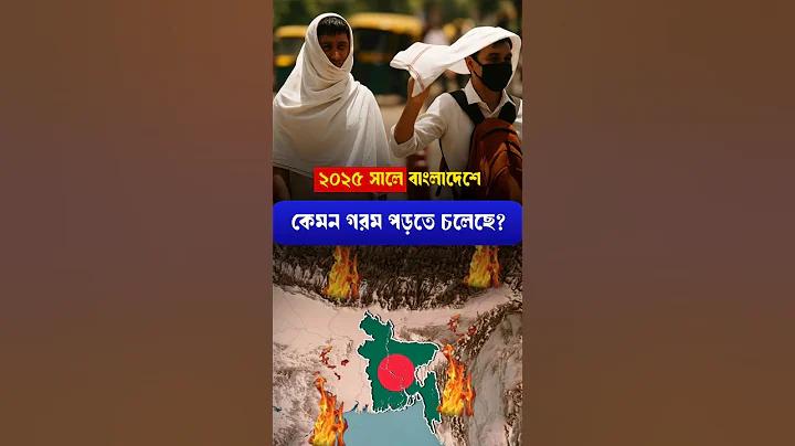 স্লট মেশিন | Cricket News Bangla
