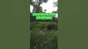 ঝড় তুফানের সময় দোয়া