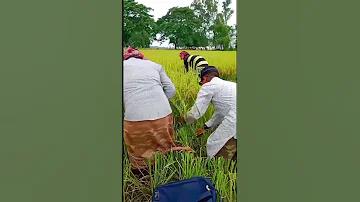 স্লট ওয়ালেট 10 টাকায় 100