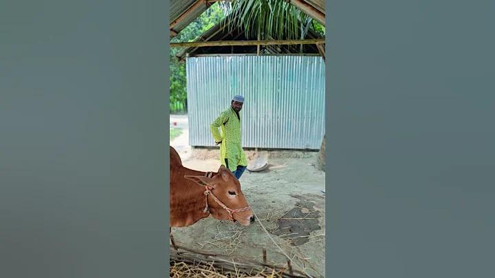 প্রথমবারের প্রচারনা