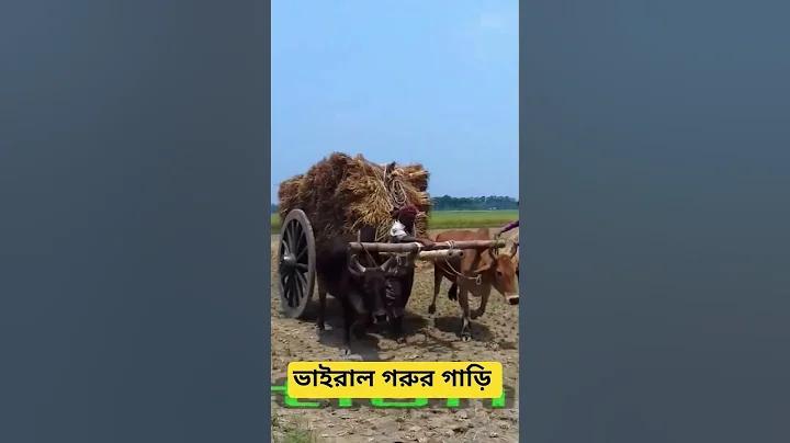 মাস্টার স্কিল-ভিত্তিক অনলাইন ক্যাসিনো গেম আজ!