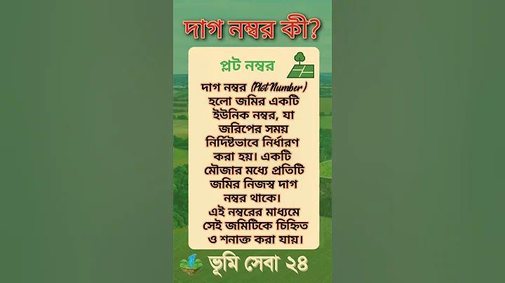 bajix365 লাইভ