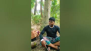 ঠাকুরগাঁও স্বাস্থ্য সহকারী