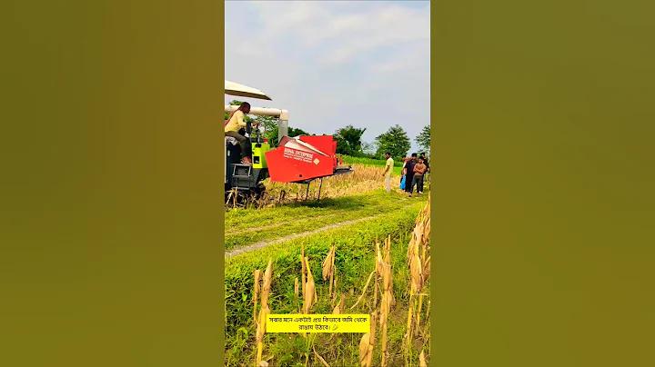 আপনি ভাগ্যবান