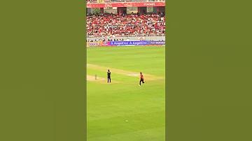 স্ট্রেপসিল 7-11 দাম