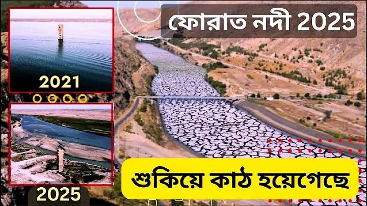 স্লট মেশিন স্কোর অডস তুলনা