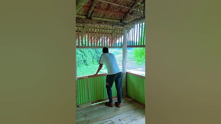 লটারি অমসিন ১ ৩ ৬৬
